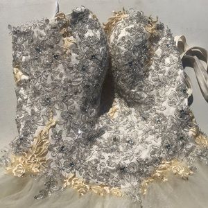 Quinceañera dress